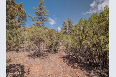1260 S Lakeside Trail, Show Low, AZ 85901 - Photo 19