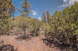 1260 S Lakeside Trl, Show Low, AZ 85901 - Photo 19