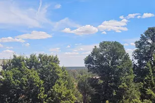 1562 Green Haven Cir, Heber, AZ 85928 - Photo 5