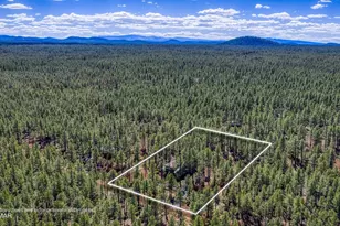 913 Birdsong Wy, Lakeside, AZ 85929 - Photo 29