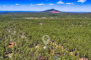 913 Birdsong Wy, Lakeside, AZ 85929 - Photo 31