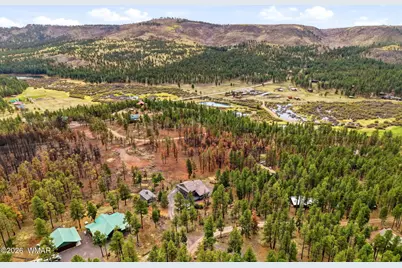 30 County Road N1022, Greer, AZ 85927 - Photo 47