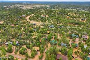 3349 Panorama Dr, Overgaard, AZ 85933 - Photo 45