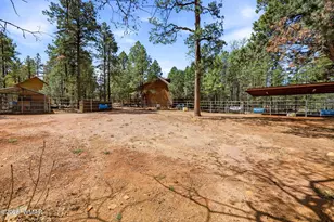 2024 Jone's Pass, Overgaard, AZ 85933 - Photo 35