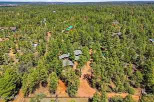 2024 Jone's Pass, Overgaard, AZ 85933 - Photo 43