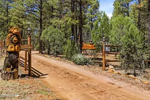 2024 Jone's Pass, Overgaard, AZ 85933 - Photo 41