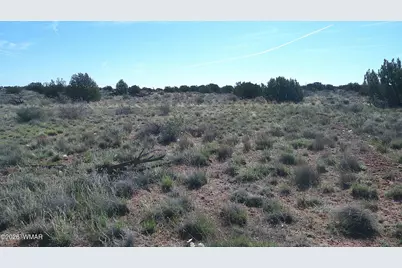 8620 Juniper Berry Trail, Snowflake, AZ 85937 - Photo 23