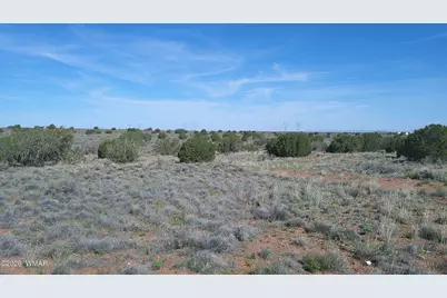 8620 Juniper Berry Trail, Snowflake, AZ 85937 - Photo 35