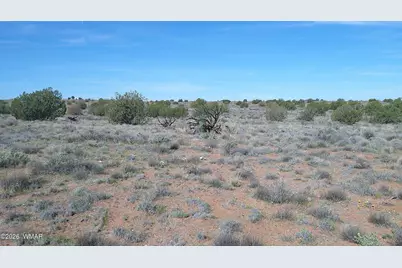 8620 Juniper Berry Trail, Snowflake, AZ 85937 - Photo 21