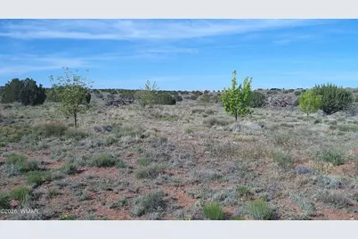 8620 Juniper Berry Trail, Snowflake, AZ 85937 - Photo 33