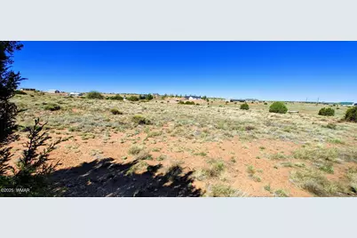 1190 S Haystack Road, Taylor, AZ 85939 - Photo 3