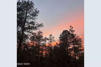 2448 Chiricahua Drive, Show Low, AZ 85901 - Photo 15