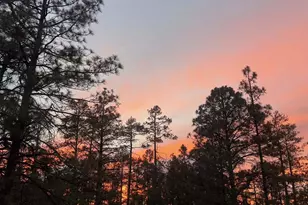 2448 Chiricahua Dr, Show Low, AZ 85901 - Photo 15