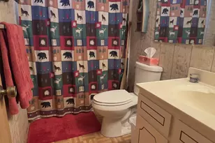 2448 Chiricahua Dr, Show Low, AZ 85901 - Photo 11