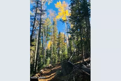 2448 Chiricahua Drive, Show Low, AZ 85901 - Photo 25