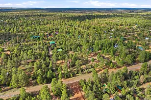 3022 Chevelon Rd, Overgaard, AZ 85933 - Photo 33