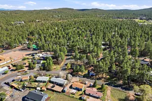 2101 W Park Valley Rd, Show Low, AZ 85901 - Photo 33