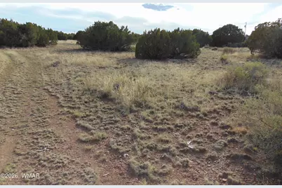 46 Crest Lane, Concho, AZ 85924 - Photo 7