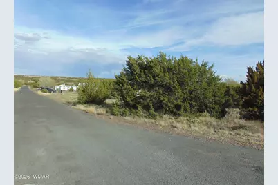 46 Crest Lane, Concho, AZ 85924 - Photo 19