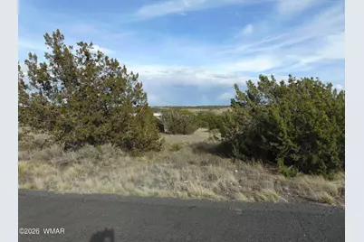 46 Crest Lane, Concho, AZ 85924 - Photo 15