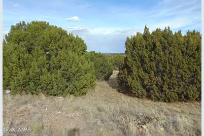 46 Crest Lane, Concho, AZ 85924 - Photo 1