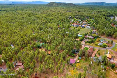 538 S Woodland Lane, Pinetop, AZ 85935 - Photo 47