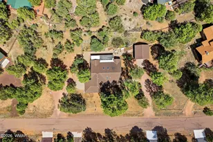 2236 Roundabout Way, Overgaard, AZ 85933 - Photo 43