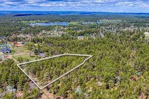 630 N Lodge Pole Ln, Lakeside, AZ 85929 - Photo 45
