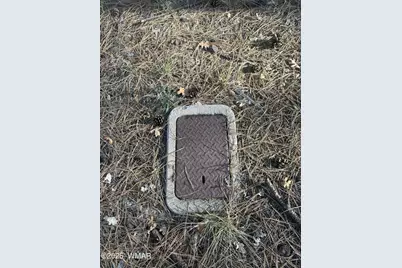 Tbd Lodge Pole Ln, Lakeside, AZ 85929 - Photo 5