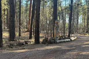 Tbd 212-56-060F, Lakeside, AZ 85929 - Photo 1