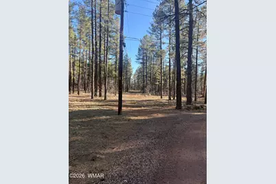 Tbd 212-56-060F, Lakeside, AZ 85929 - Photo 5