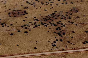 Tbd 201-37-210, Concho, AZ 85924 - Photo 1