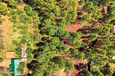 1762 Anglers Road, Lakeside, AZ 85929 - Photo 27