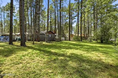 1762 Anglers Road, Lakeside, AZ 85929 - Photo 21