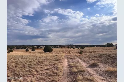 N9237 Miller Lane, Concho, AZ 85924 - Photo 9