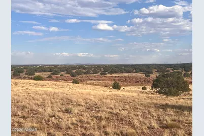 N9237 Miller Lane, Concho, AZ 85924 - Photo 13