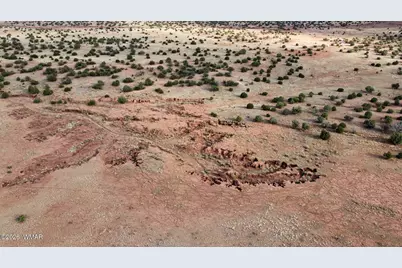 N9237 Miller Lane, Concho, AZ 85924 - Photo 25