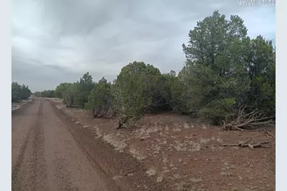 30 N8412, Concho, AZ 85924 - Photo 1