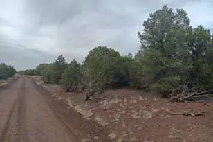 30 N8412, Concho, AZ 85924 - Photo 1