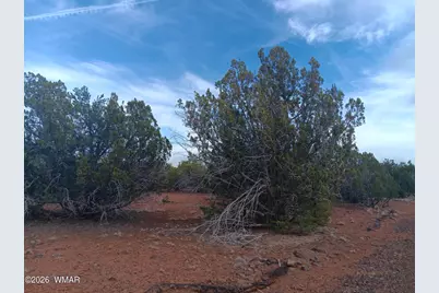 30 N8412, Concho, AZ 85924 - Photo 5