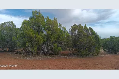 28 N8412, Concho, AZ 85924 - Photo 5
