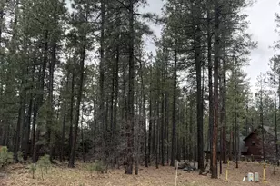 2738 Timber Ridge Ln, Pinetop, AZ 85935 - Photo 1