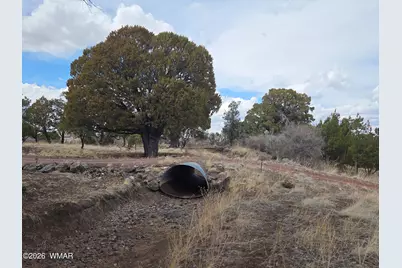 41205 Highway 261, Eagar, AZ 85925 - Photo 27