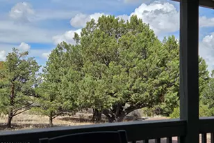 41205 Hwy 261, Eagar, AZ 85925 - Photo 33