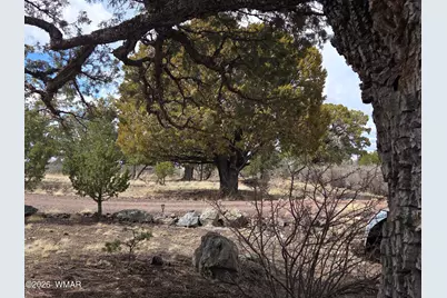 41205 Highway 261, Eagar, AZ 85925 - Photo 25