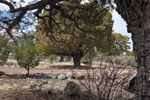 41205 Hwy 261, Eagar, AZ 85925 - Photo 25