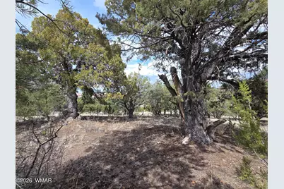41205 Highway 261, Eagar, AZ 85925 - Photo 29