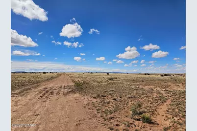 Tbd Chev Canyon Ranch #3 Lot 461, Heber, AZ 85928 - Photo 15