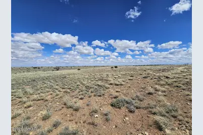 Tbd Chev Canyon Ranch #3 Lot 461, Heber, AZ 85928 - Photo 17