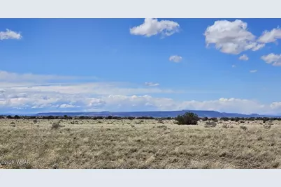 Tbd Chev Canyon Ranch #3 Lot 461, Heber, AZ 85928 - Photo 5